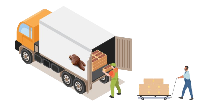 Distribution